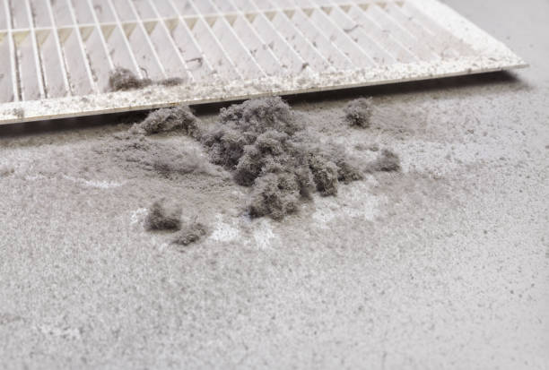 Best Best Air Duct Cleaning Near Me  in Elwood, IL