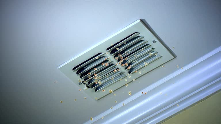 Best Residential Air Duct Cleaning  in Elwood, IL