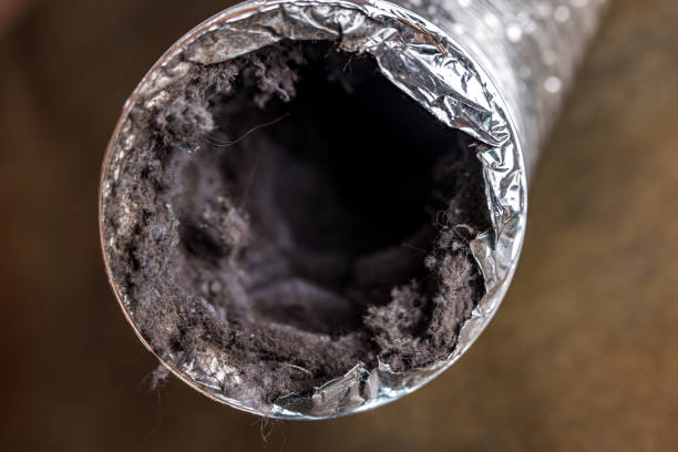Best Duct Cleaning for Homes  in Elwood, IL