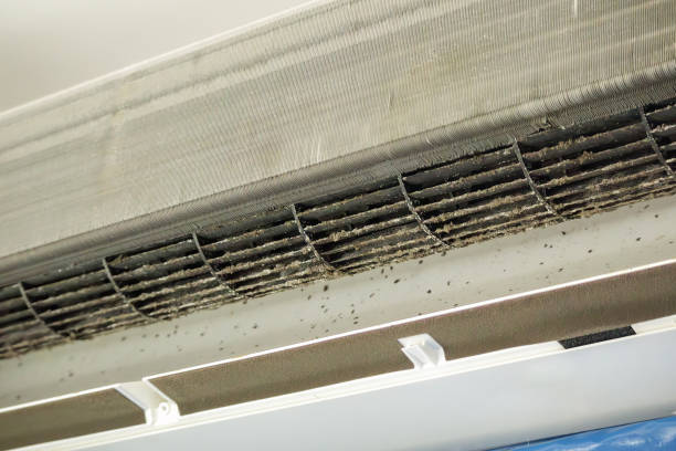 Best Affordable Air Duct Cleaning  in Elwood, IL